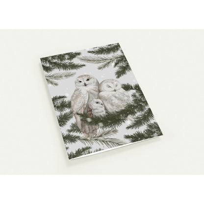 2864d63c-2e45-46fc-be1c-9cb70e166e74