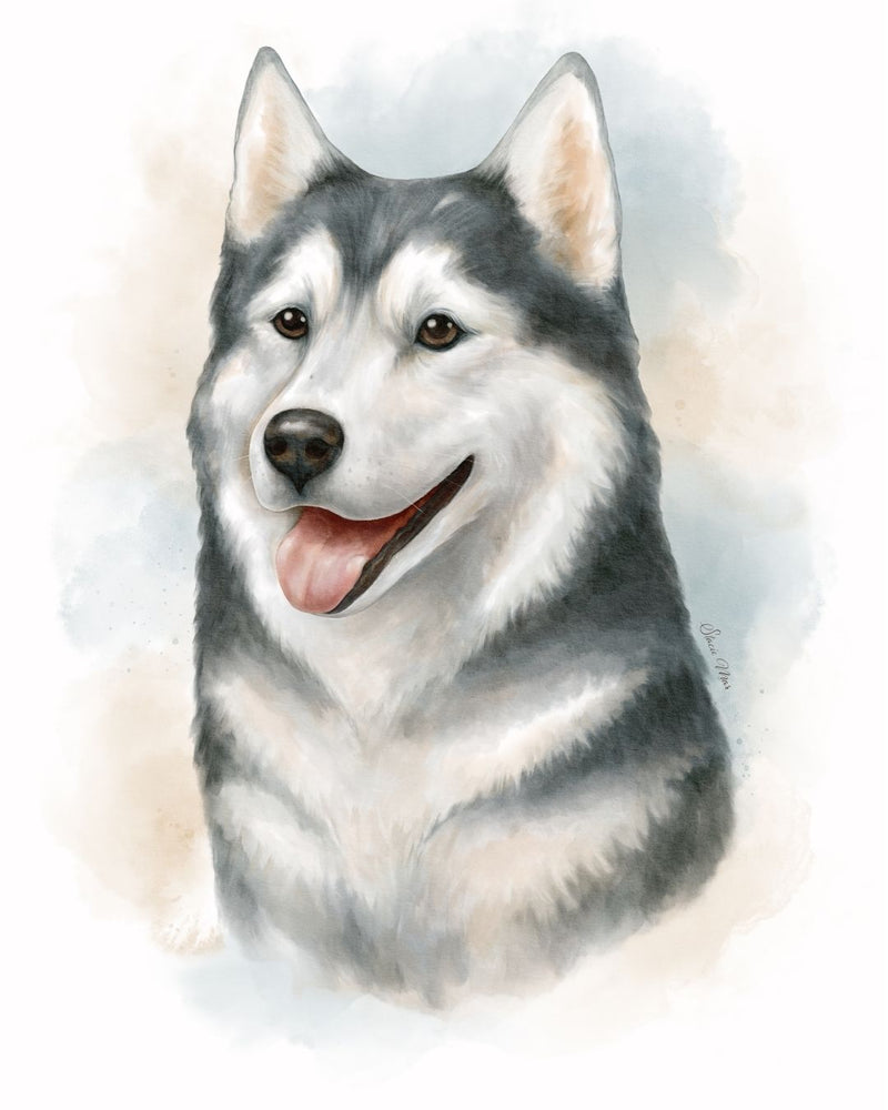 Husky Dog Portrait