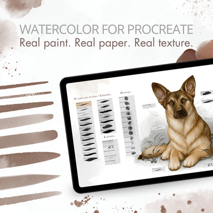 Create Softly — Watercolor Brushes for Procreate