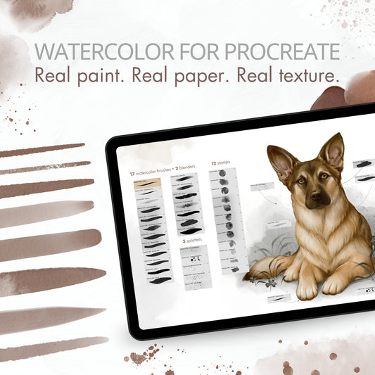 Create Softly — Watercolor Brushes for Procreate