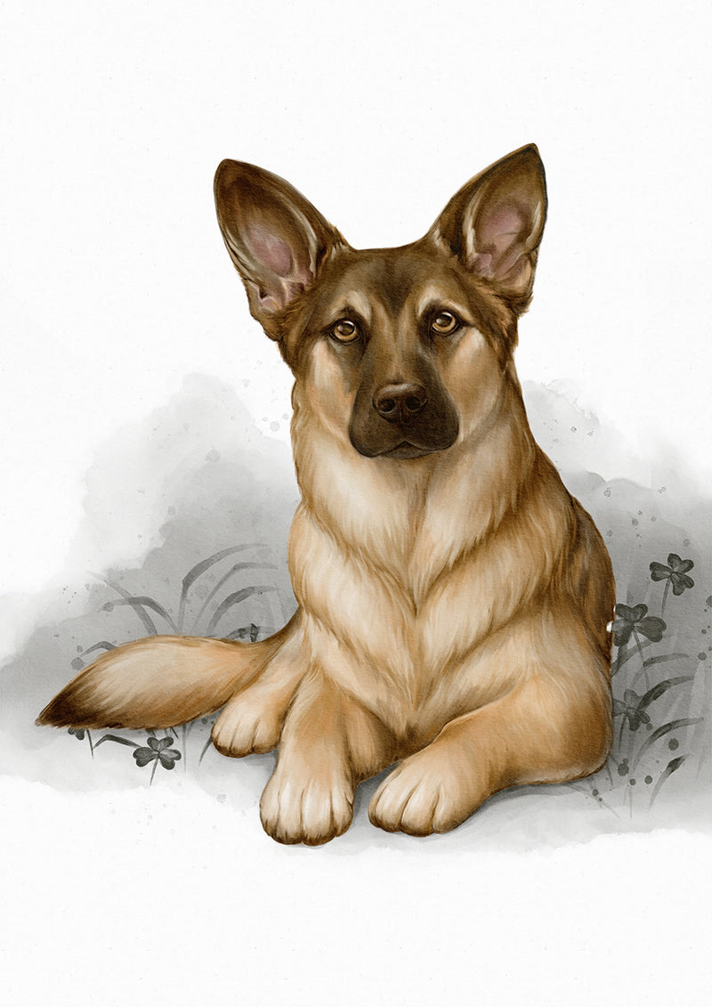 German Shepherd Dog Portrait