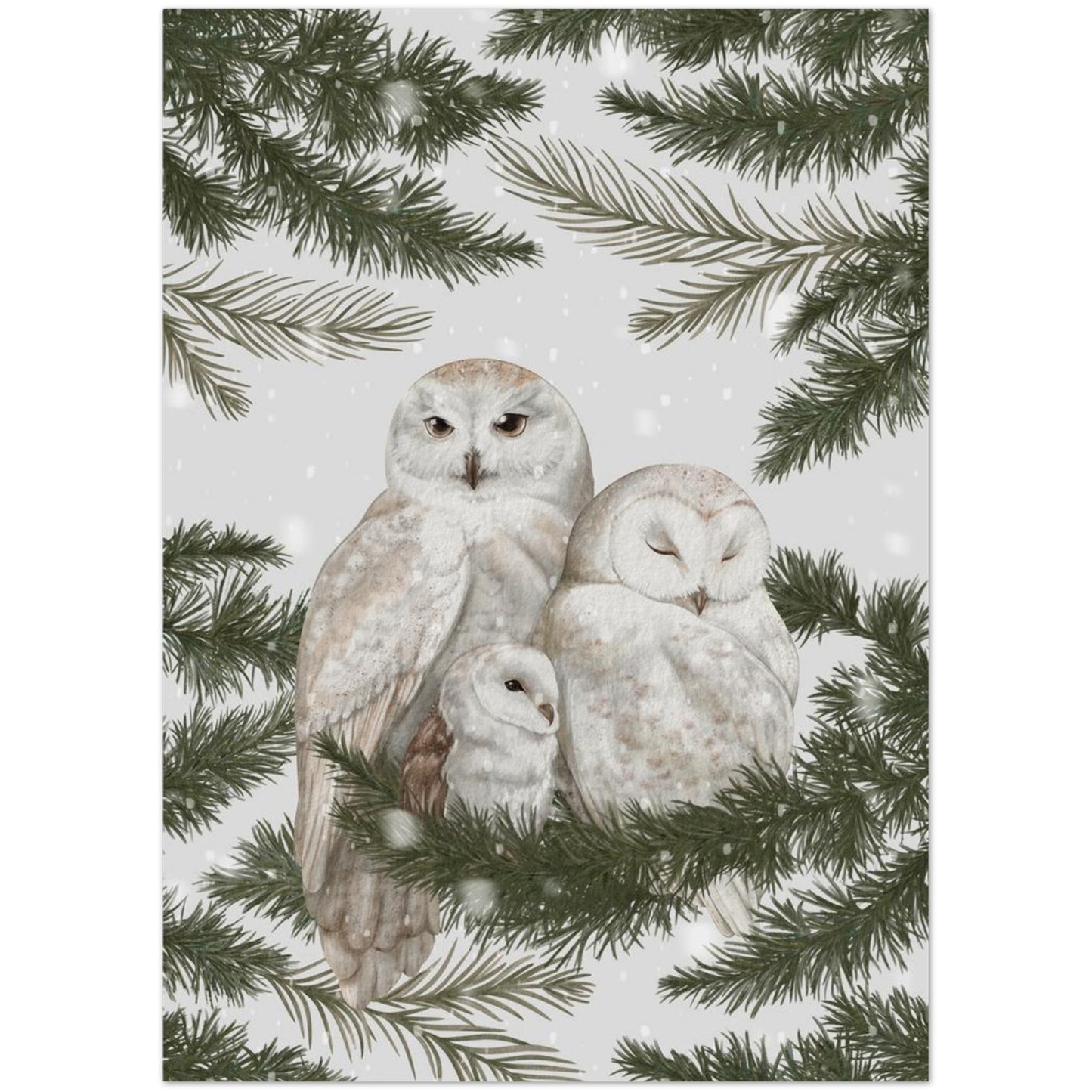 bb355211-a980-4aa5-b55d-e041336348ff