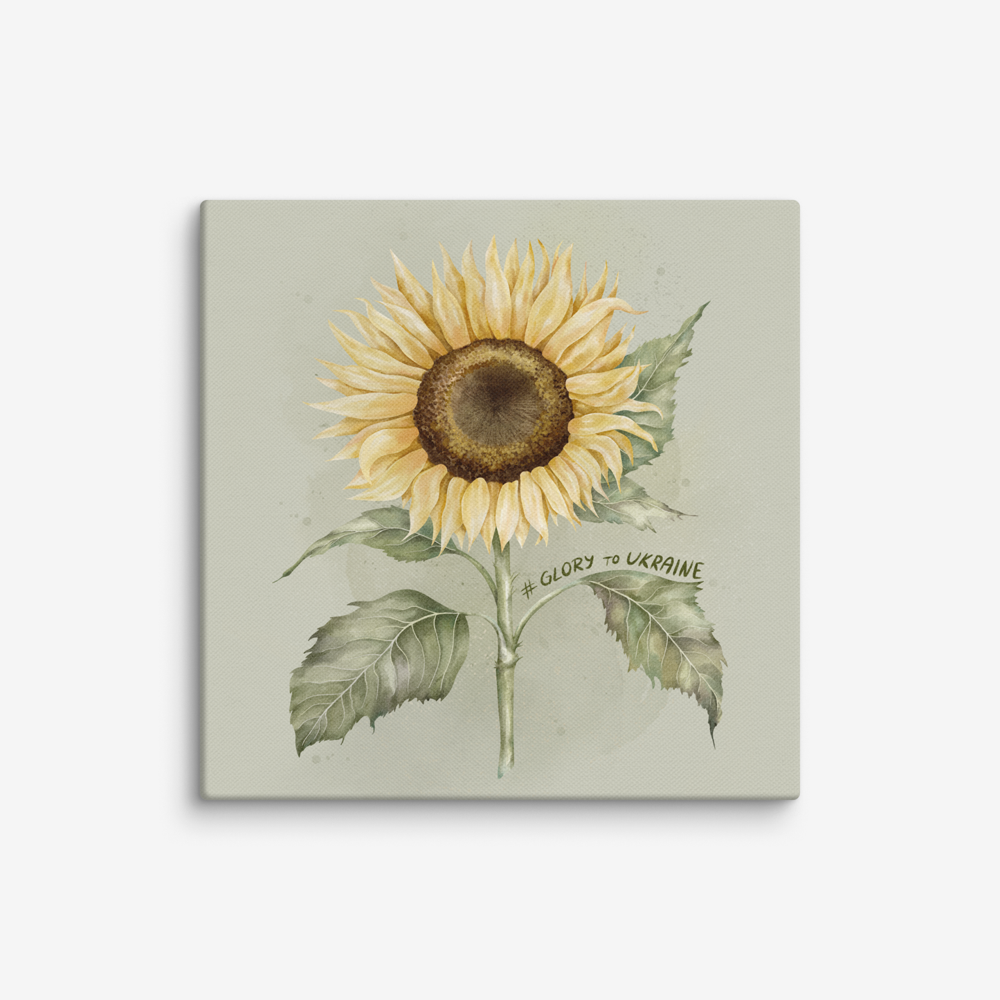 Square Canvas - Sunflower